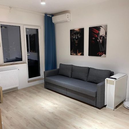 Aquamarine Luxury Apartment Palace Bükreş Dış mekan fotoğraf